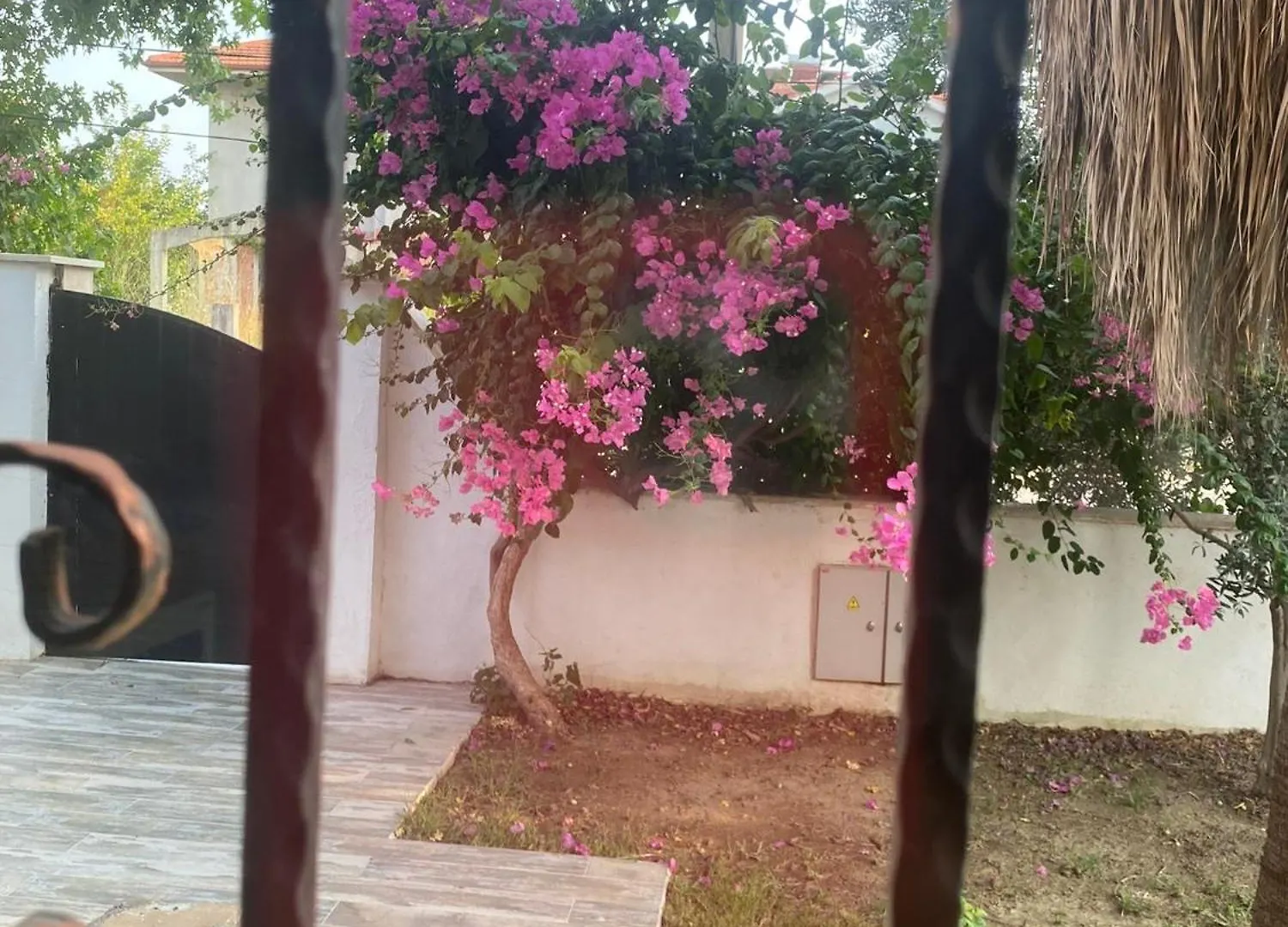 Villa Private Pool Home At Dalyan Ortaca  Turkey